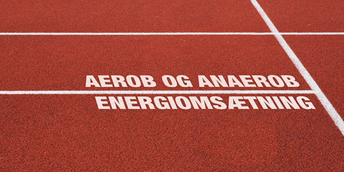 Aerobic and Anaerobic energy turnover if you want to be serious about your training